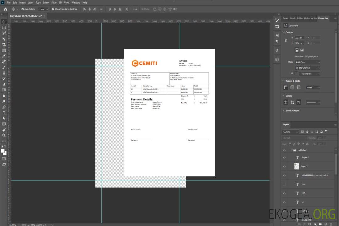 Inde Cemiti sports facture de communauté électronique template Inde Cemiti sports facture de communauté électronique template